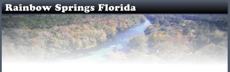 Rainbow Springs Real Estate in Dunnellon, FL (3)