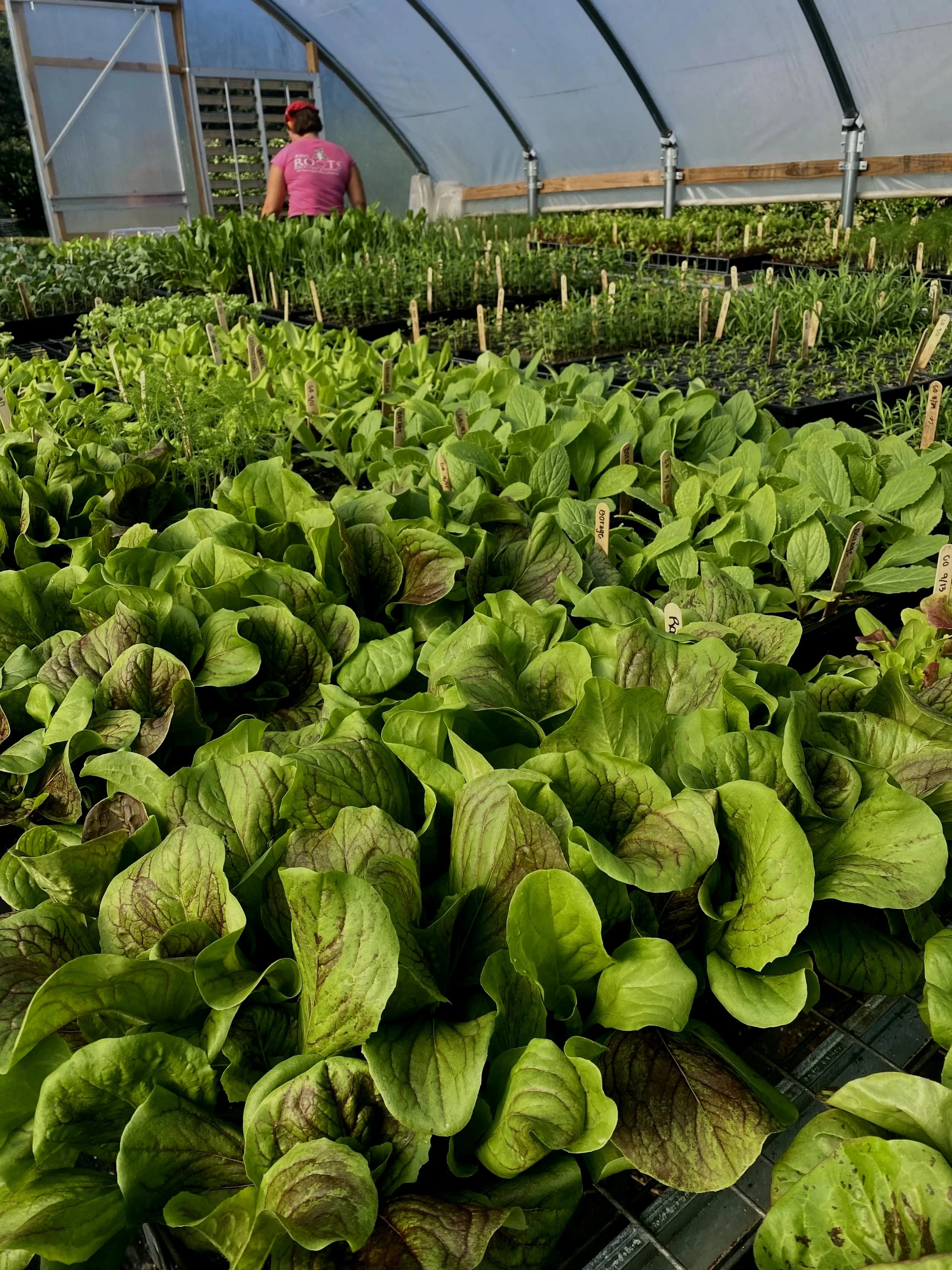 Dirtcraft Organics in Marshall, NC (2)