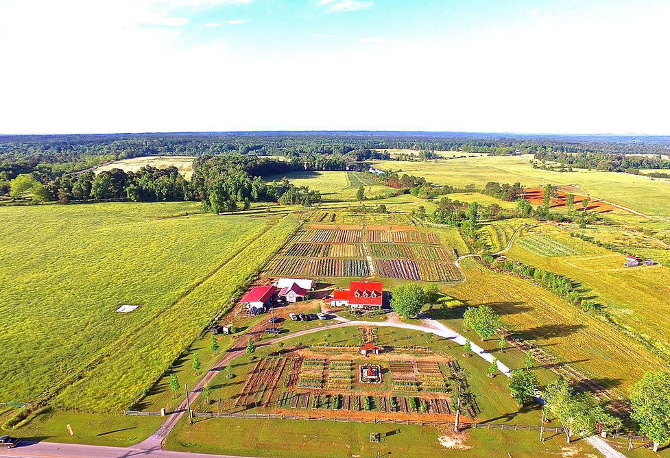 Honeywood Farms in Barnesville, GA