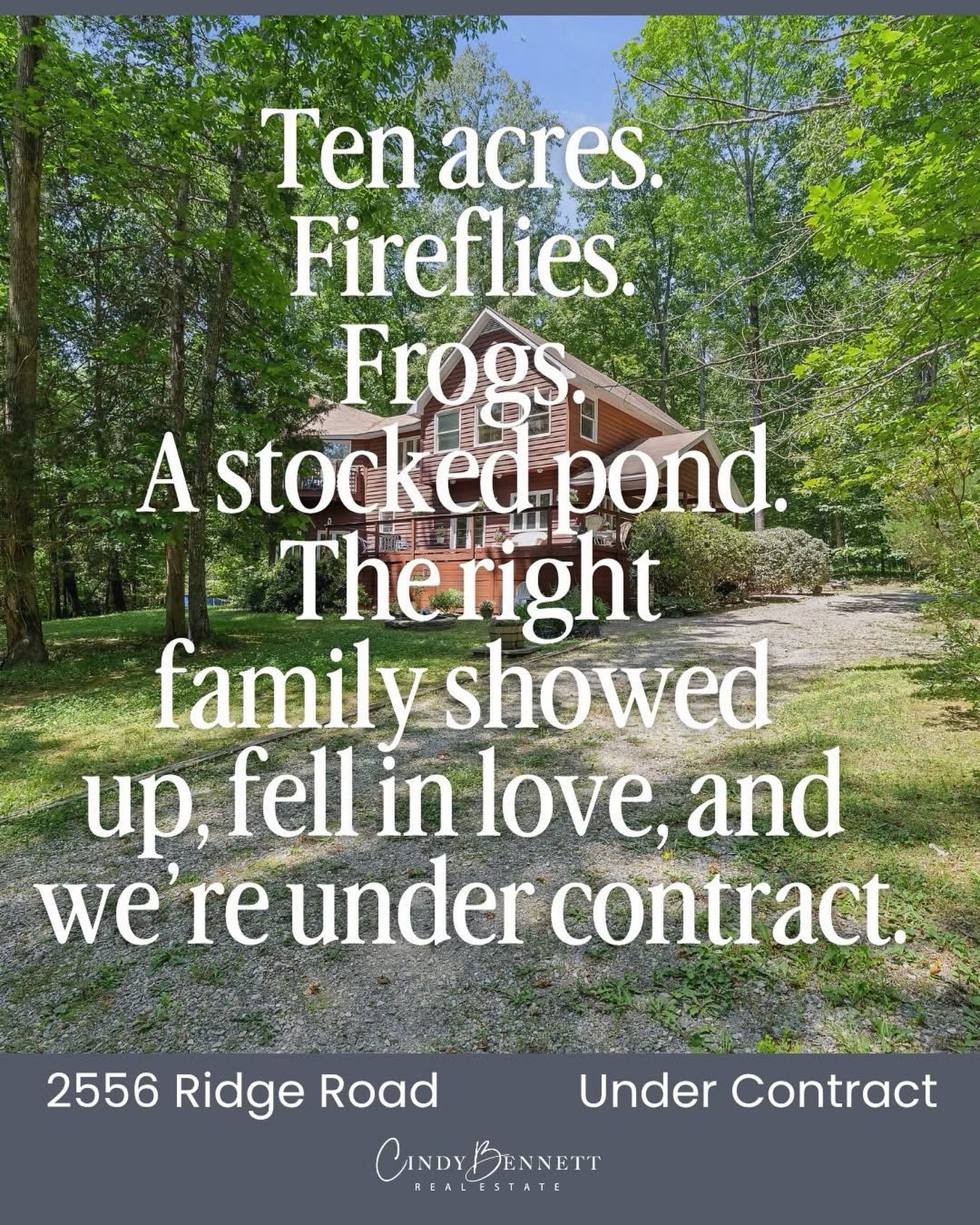 Cindy Bennett Richmond Real Estate in Richmond, VA (6)
