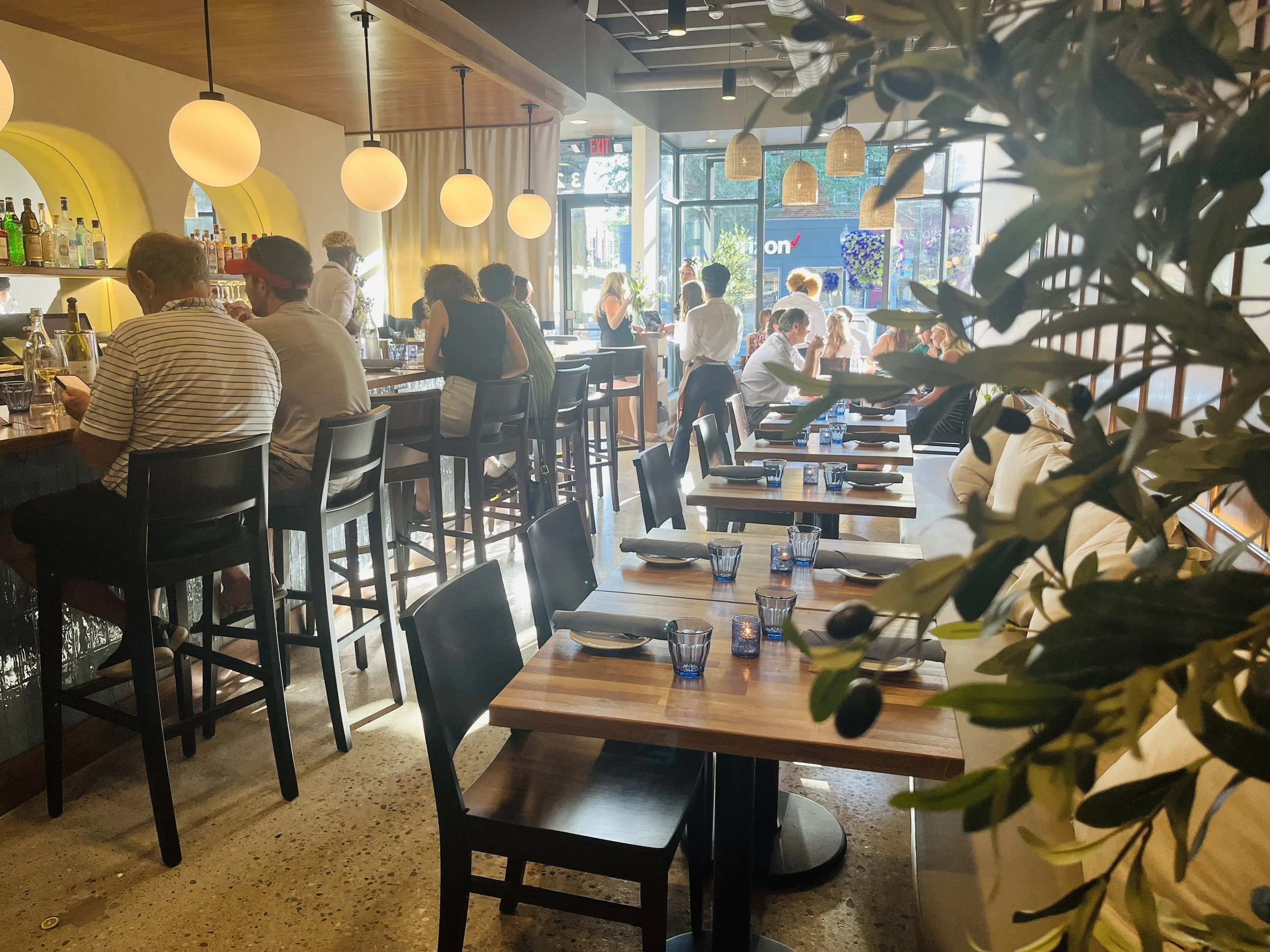 Blue Goat in Royal Oak, MI (2)
