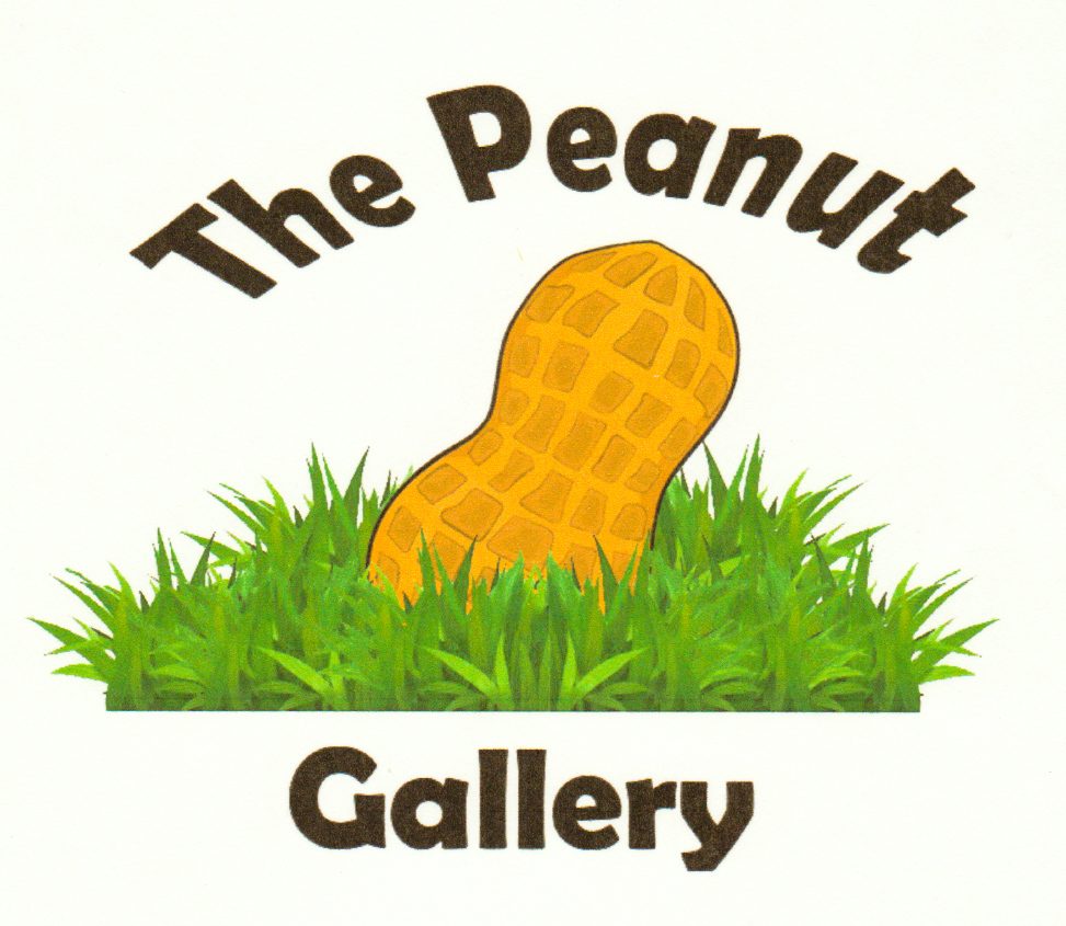 The Peanut Gallery in Rochelle, GA (2)
