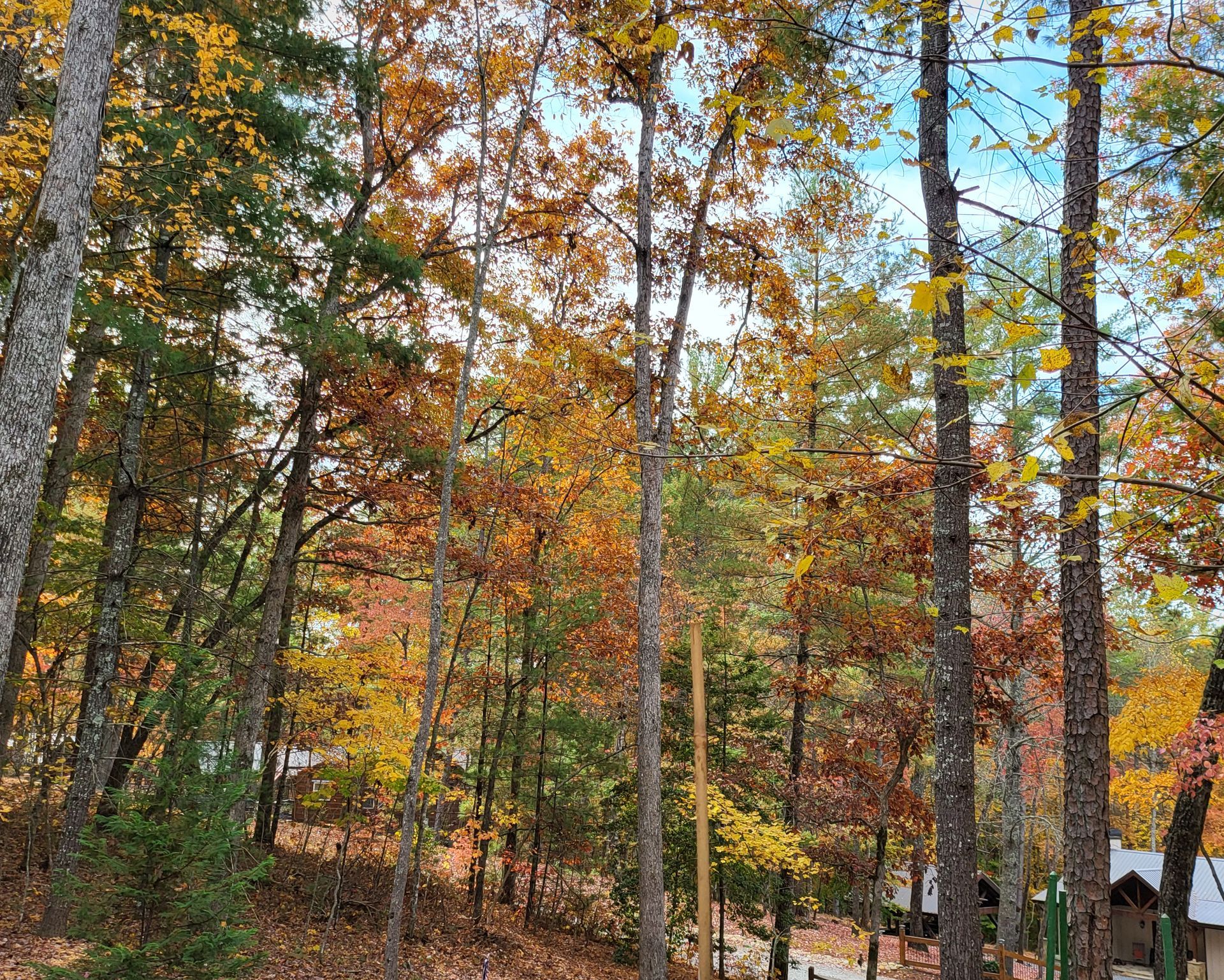 Kelley Morgan - Realtor in Morganton, GA (3)