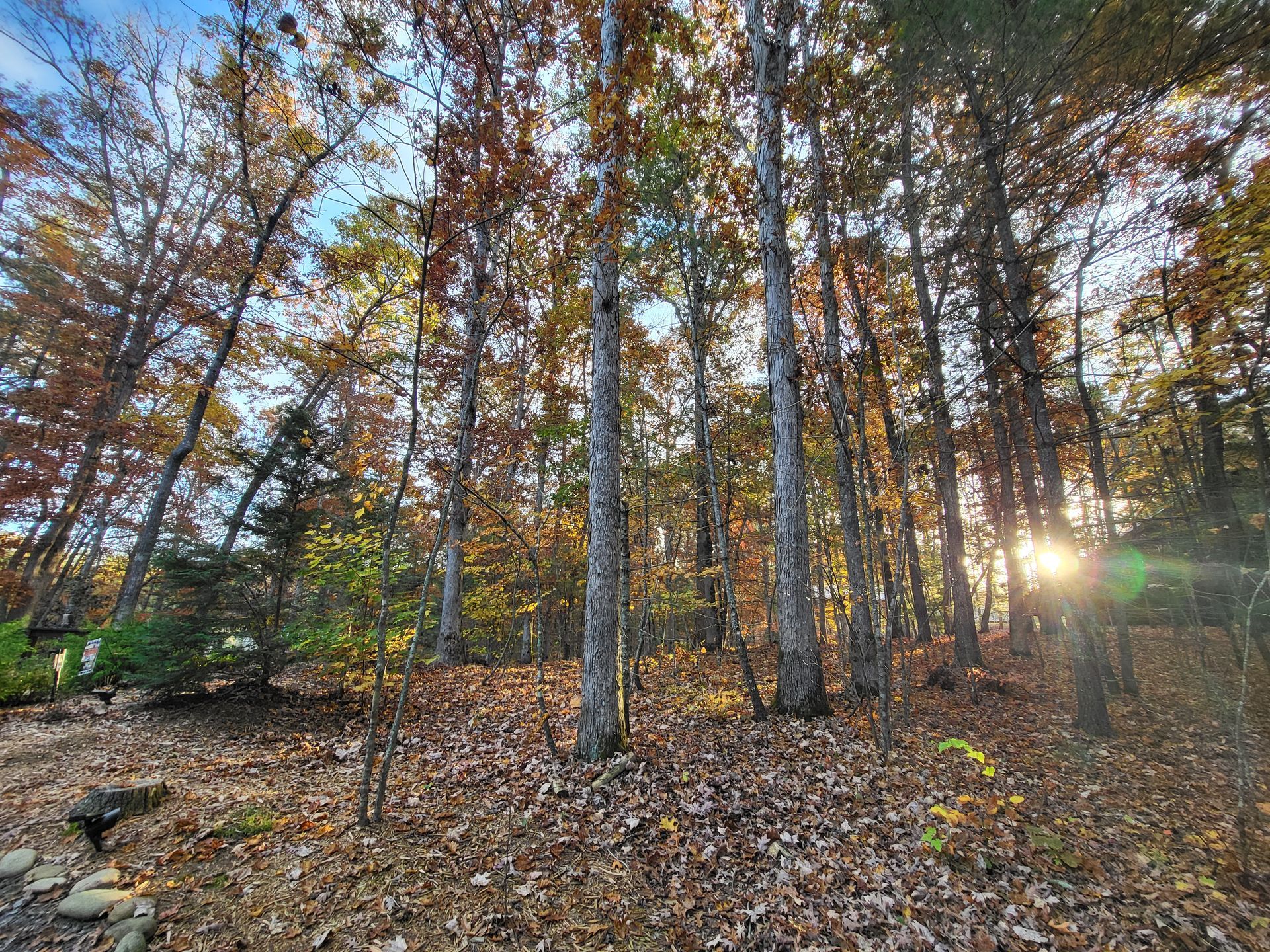 Kelley Morgan - Realtor in Morganton, GA (4)