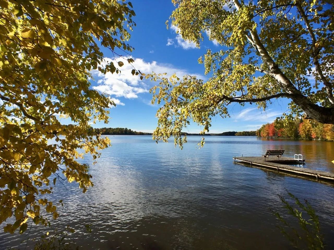 Hidden Woods Real Estate Hayward WI in Birchwood, WI