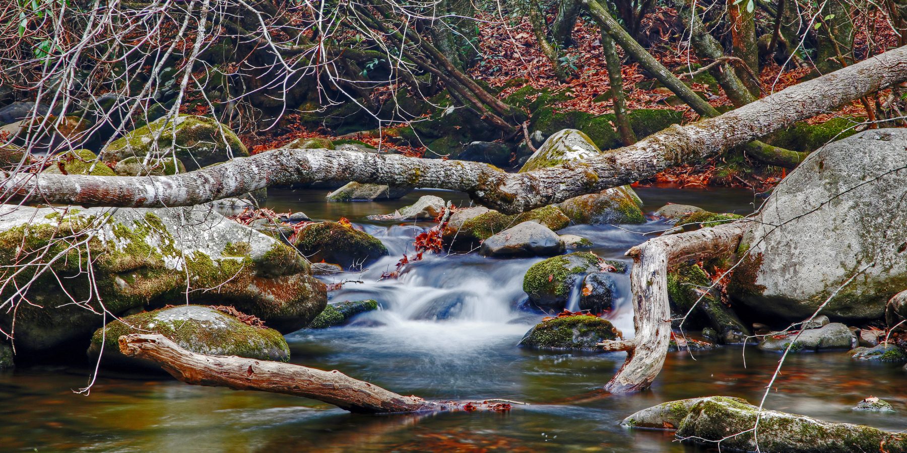 Mountain Heritage in Maggie Valley, NC (2)