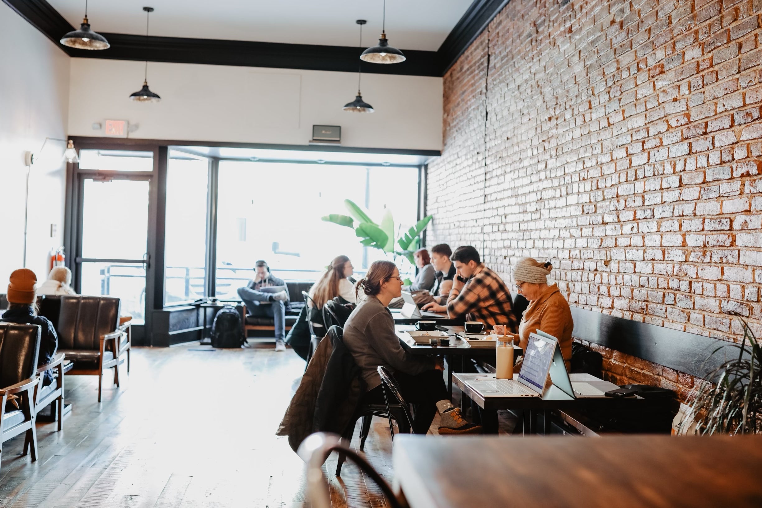Purebred Coffee Co. in Troy, OH (2)