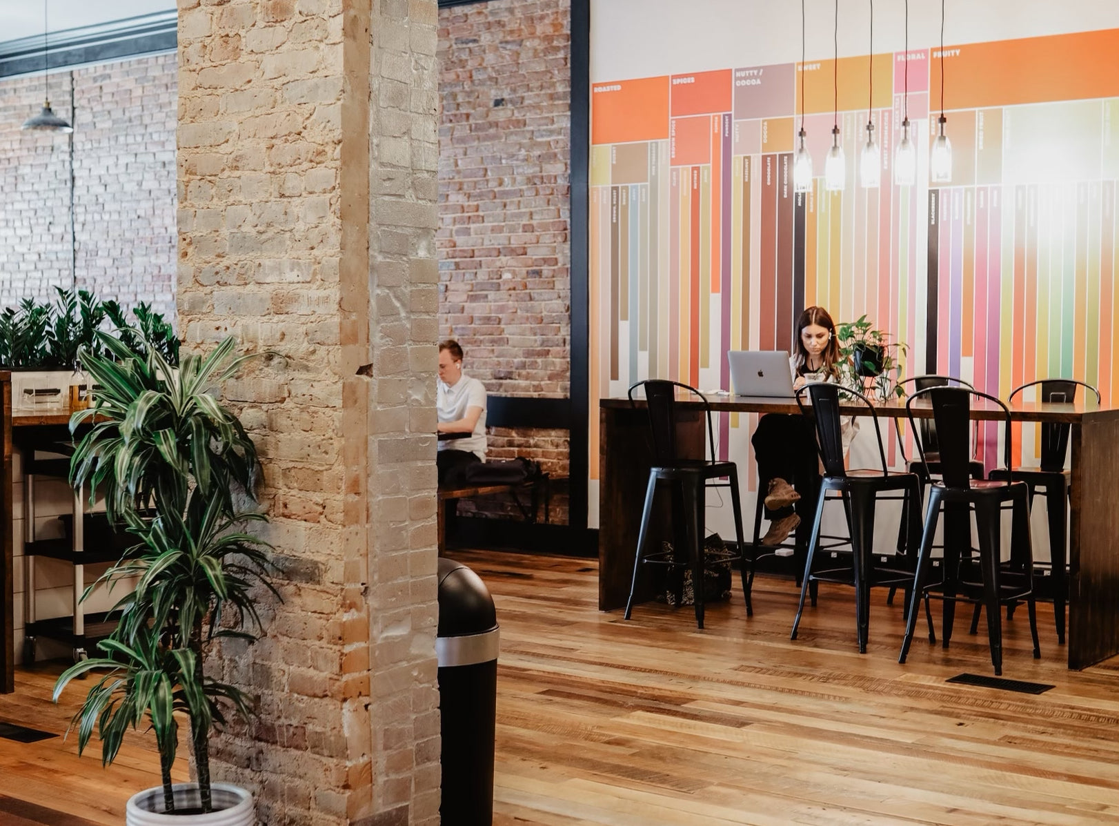 Purebred Coffee Co. in Troy, OH (3)
