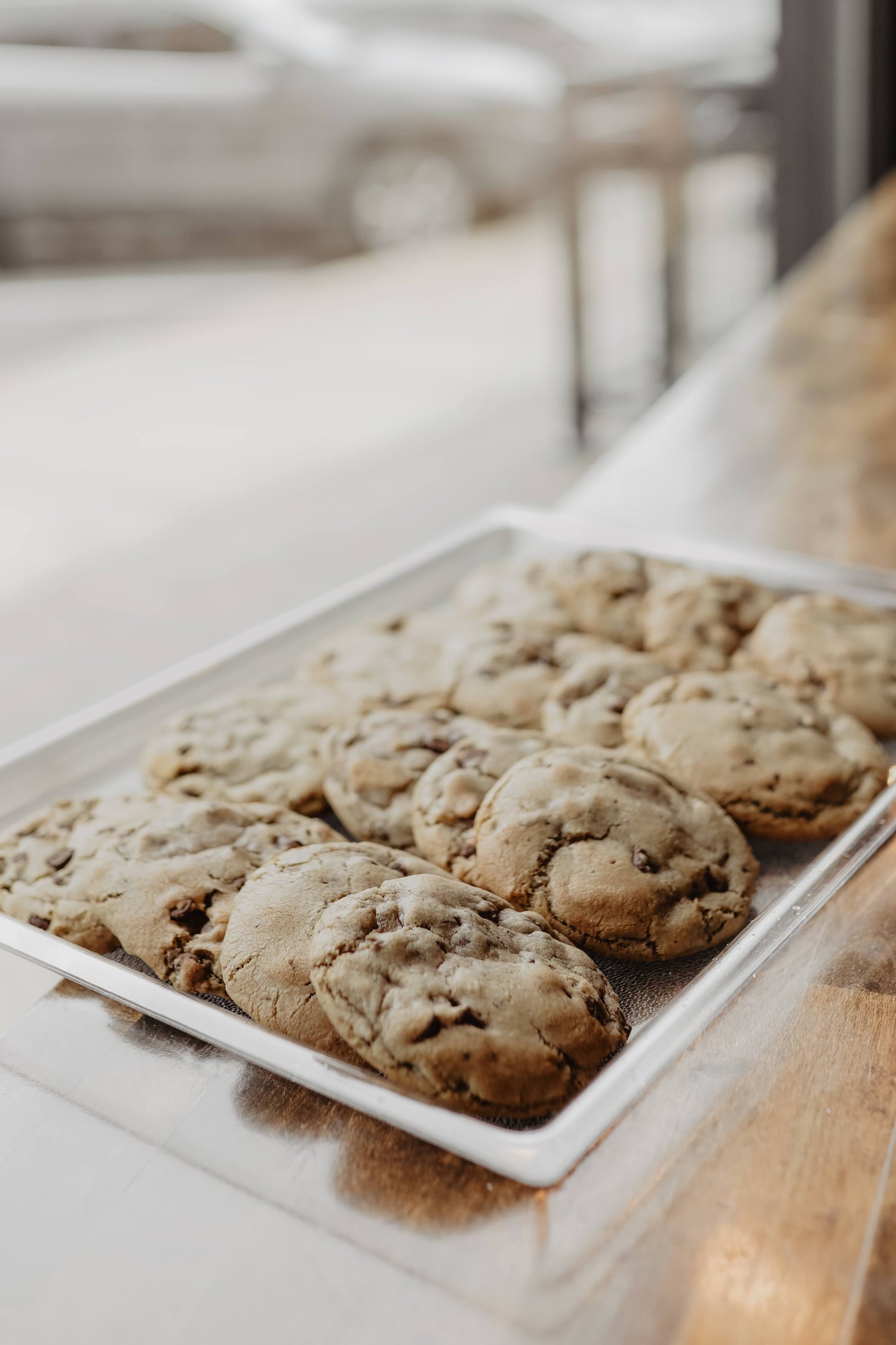 Purebred Coffee Co. in Troy, OH (4)