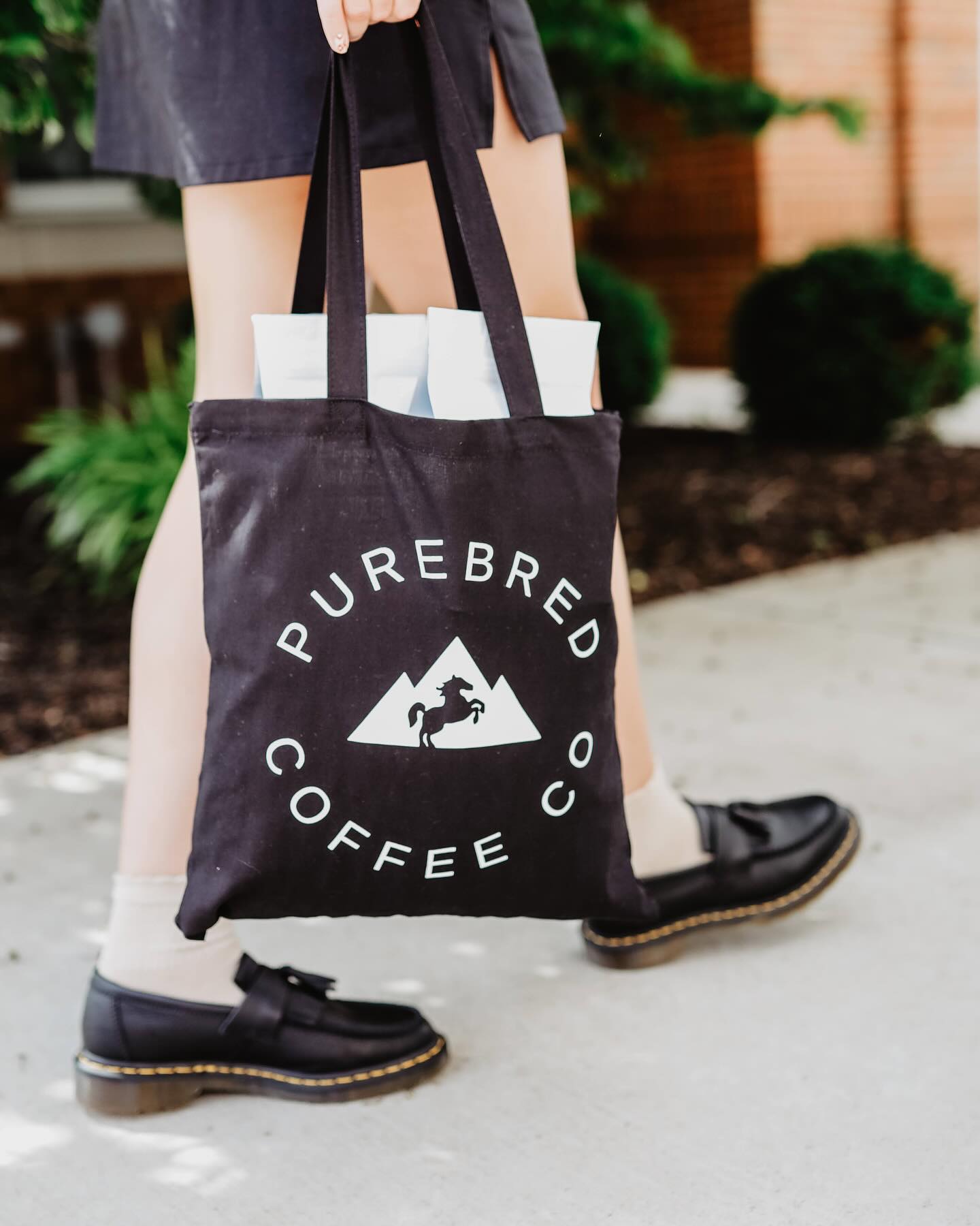 Purebred Coffee Co. in Troy, OH (5)