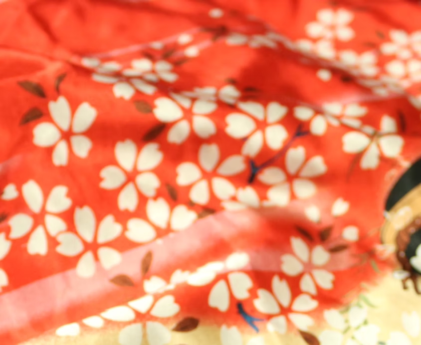 Kani House - Dawsonville | Japanese • Sushi • Hibachi in Dawsonville, GA