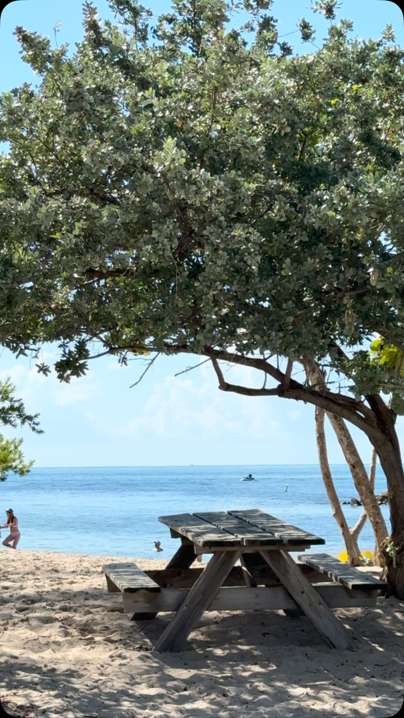 Brenda Donnelly Real Estate in Key West, FL (5)