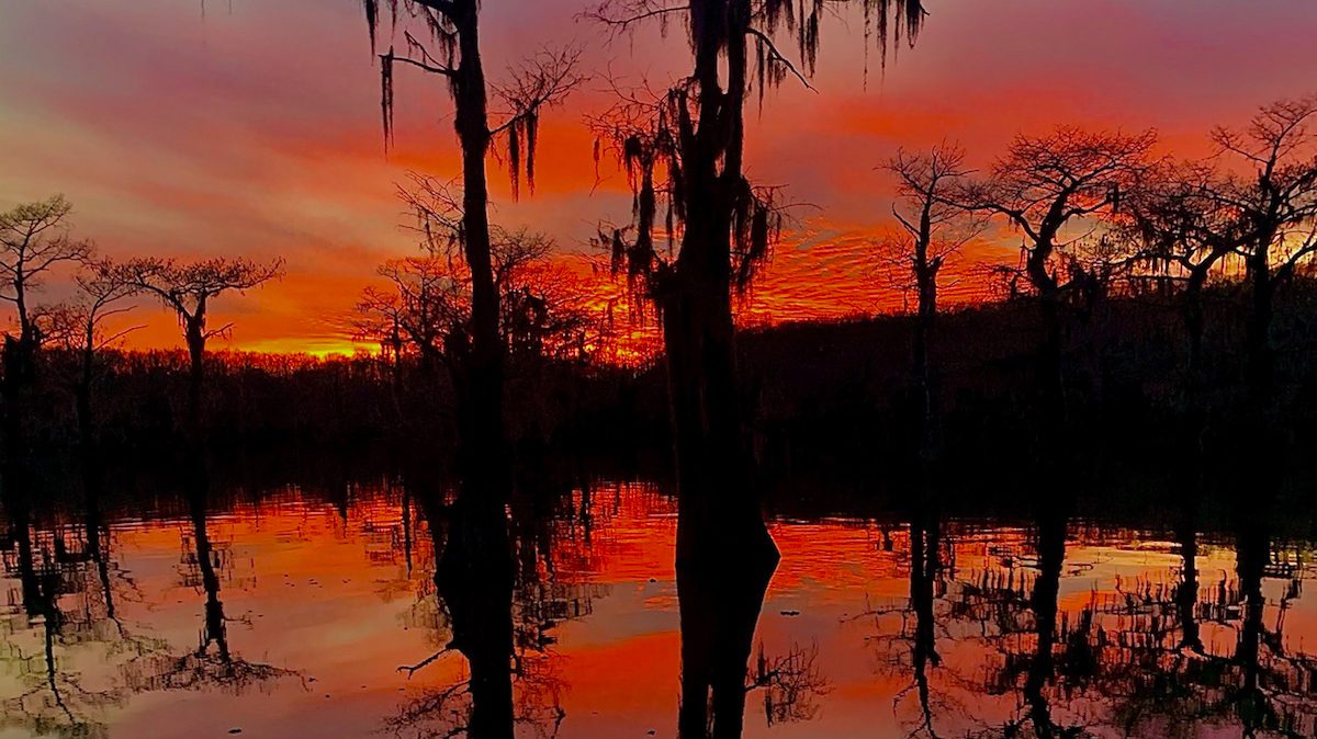 Mossy Brake Camp Caddo Lake Swamp Tours in Karnack, TX (3)