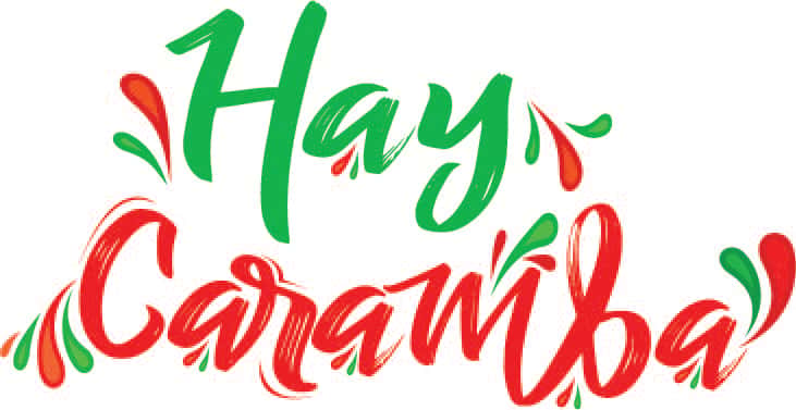 Hay Caramba Restaurant in Park Ridge, IL (2)