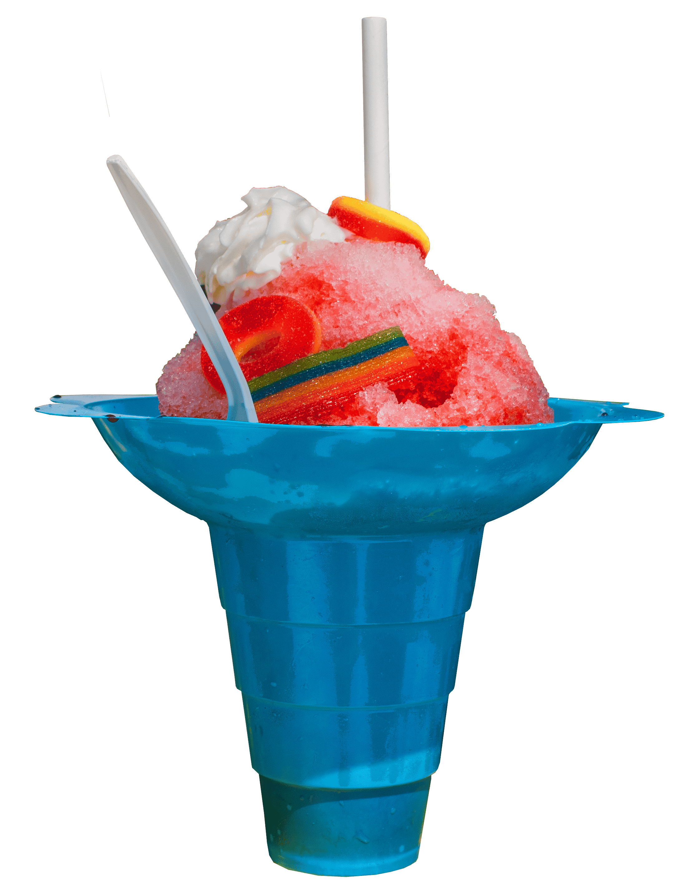 MZ SNO BIZ in Largo, FL (2)