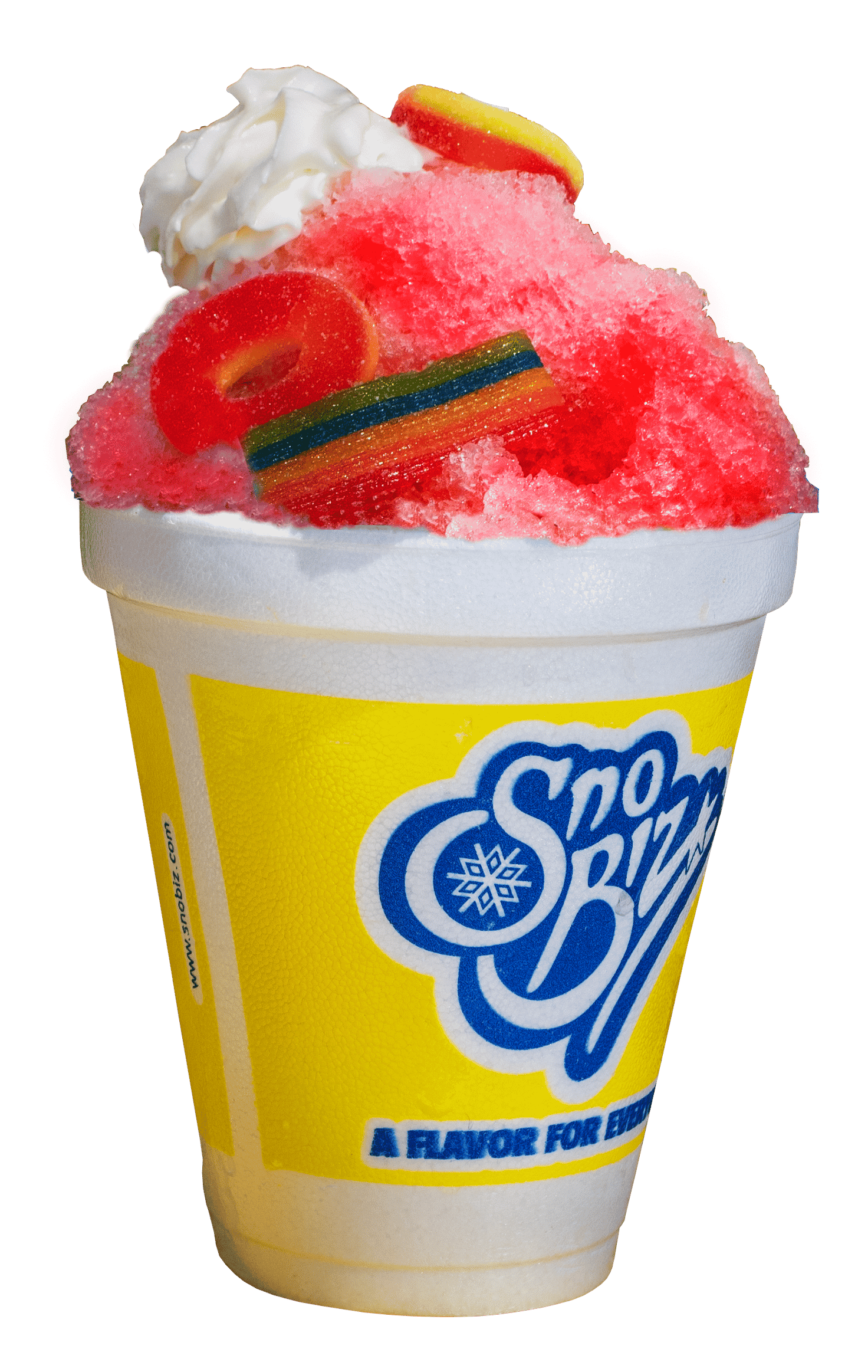 MZ SNO BIZ in Largo, FL (3)
