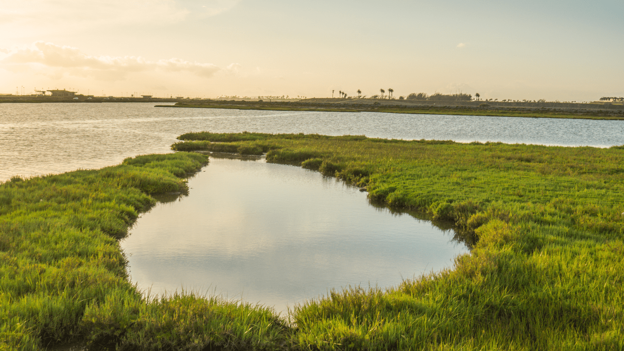 Jeb Smith, Realtor in Huntington Beach, CA (2)