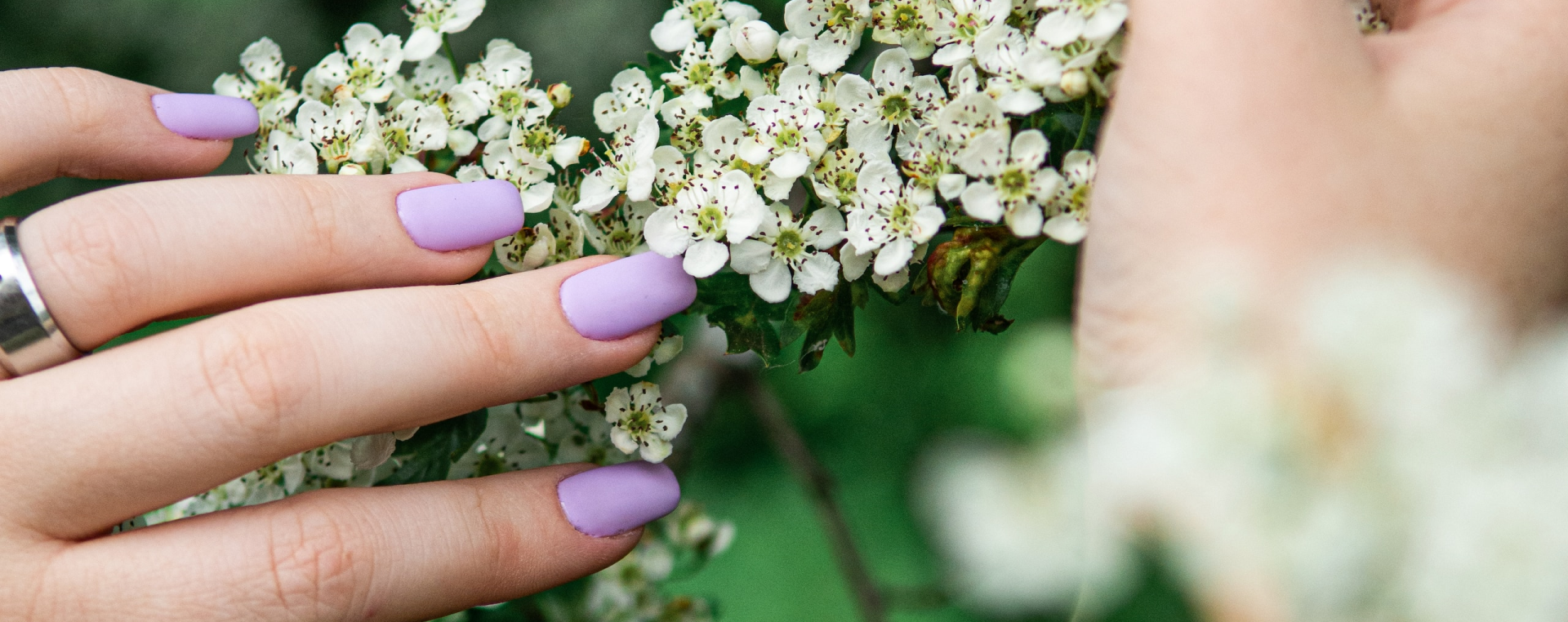 Lan Spa Nails & Tan LLC in Apopka, FL
