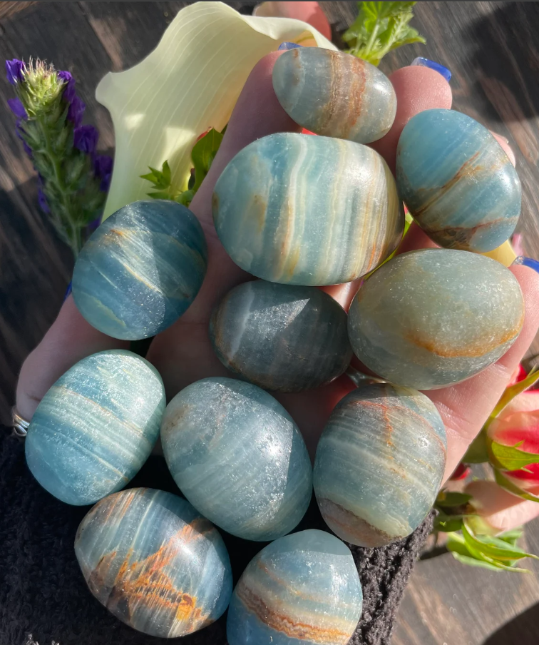 Dear Universe Apothecary in Sanford, FL (2)
