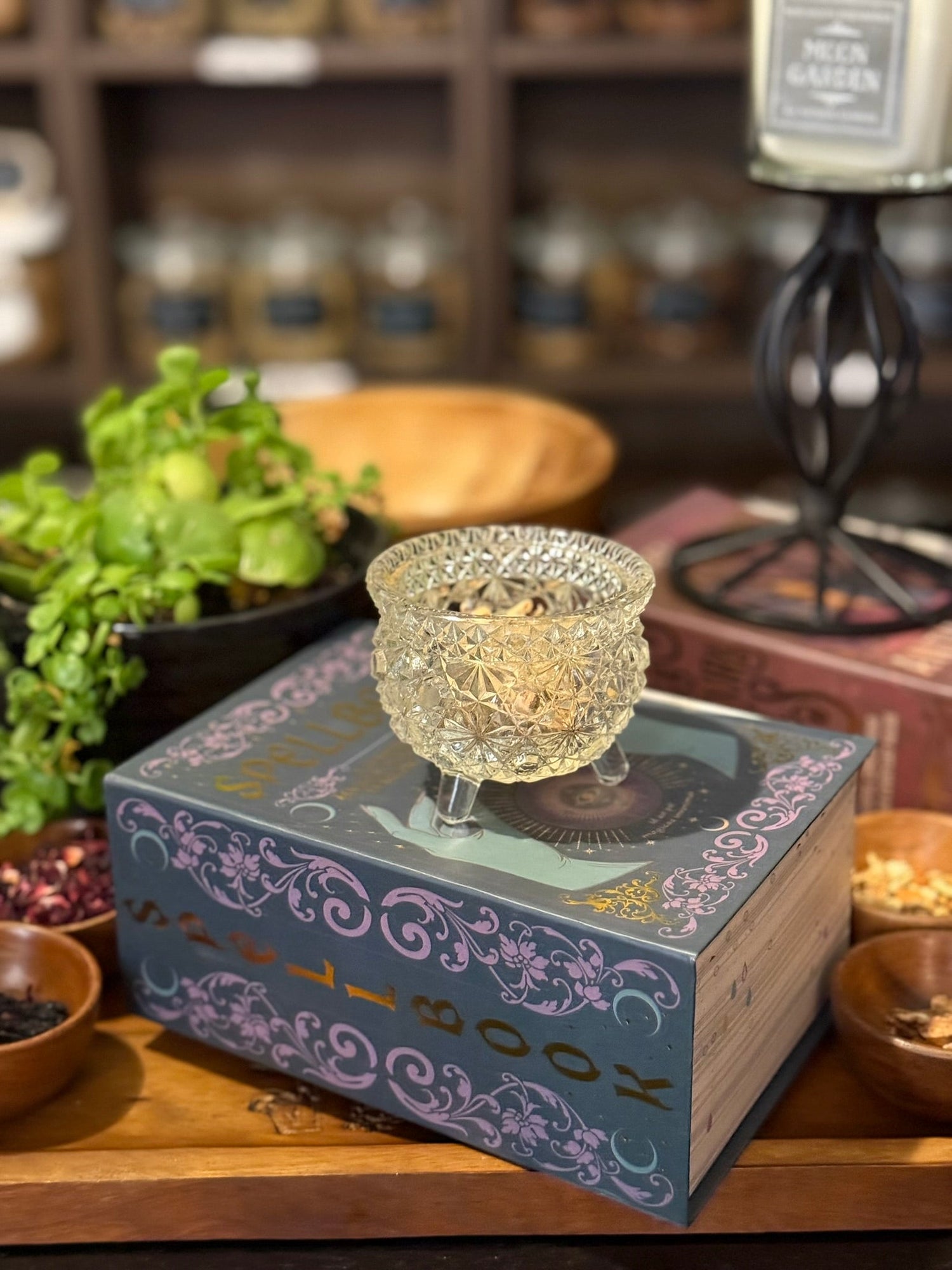 Dear Universe Apothecary in Sanford, FL (6)
