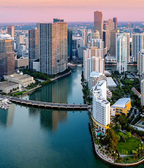 Steve Levin - The King of Real Estate and The Levin Team at Keyes in Coral Springs, FL (4)