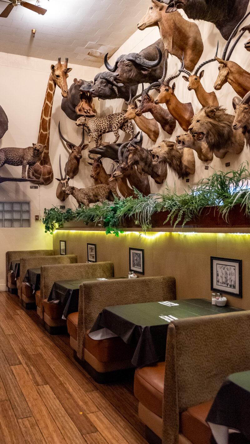 Foster's Bighorn in Rio Vista, CA