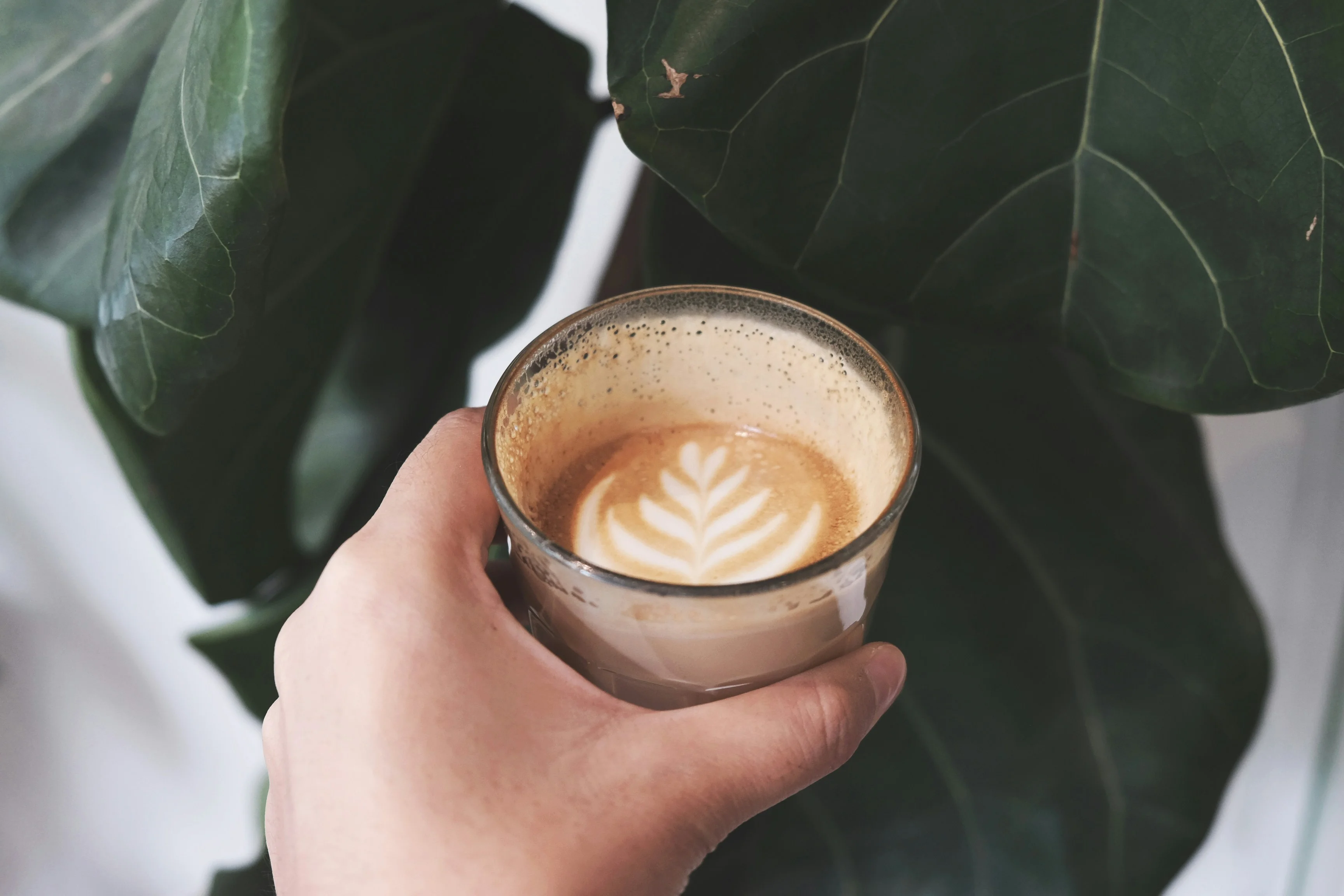 Vaella Coffee & Tea in Fort Lauderdale, FL (3)