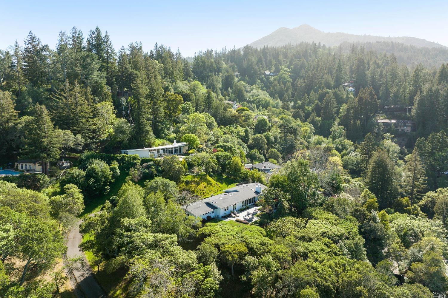 Stephanie Lamarre | Marin County, CA Luxury Real Estate in Greenbrae, CA (6)