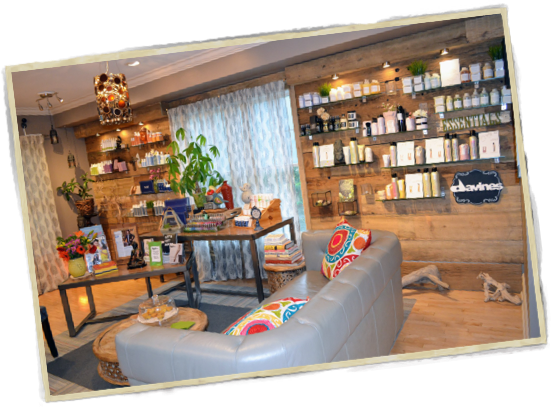 The B Hive Organic Salon in Hillsdale, NJ (2)