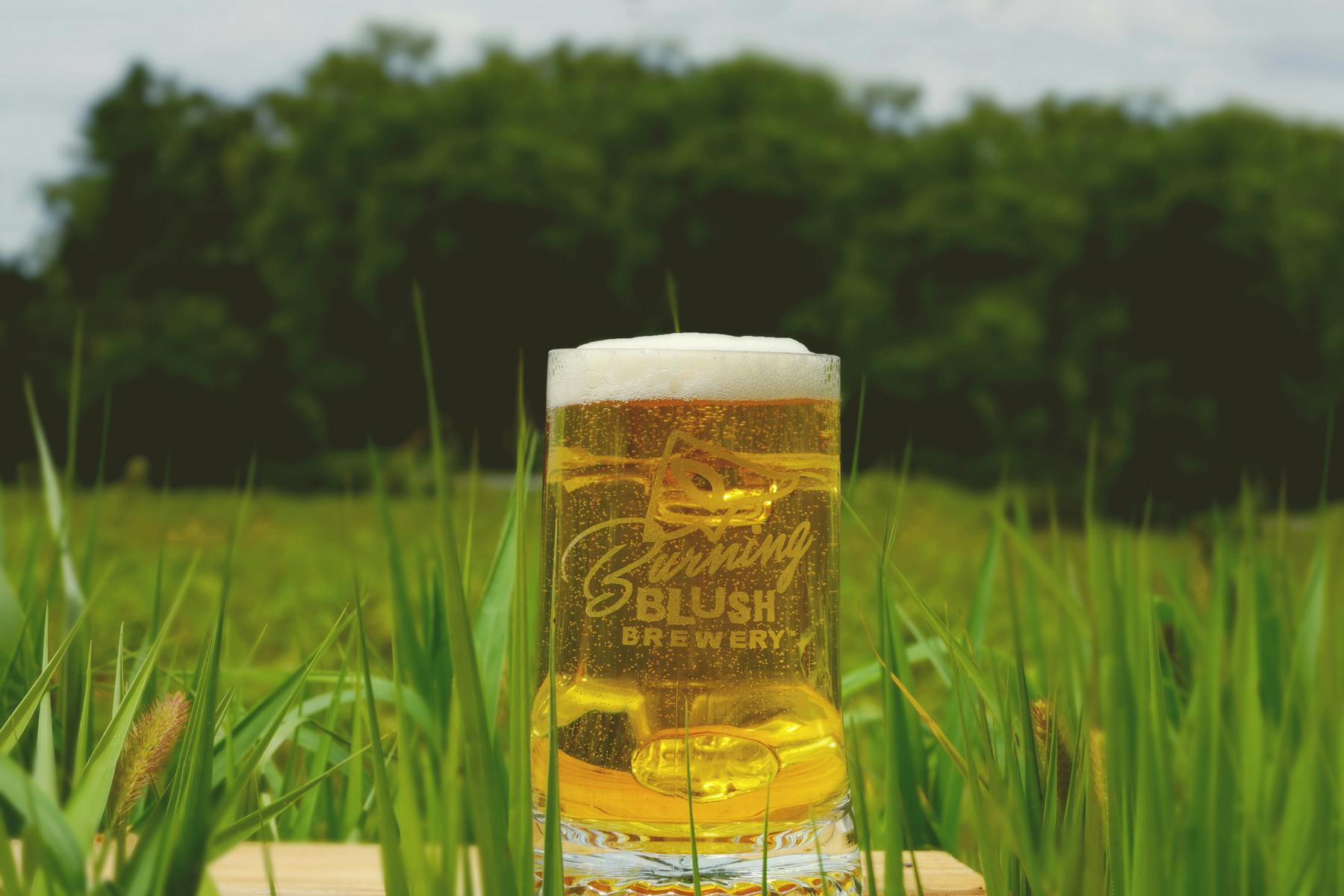 Burning Blush Brewery in Mills River, NC