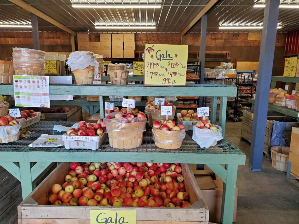 Kaytee's Family Restaurant and Marketplace in Coudersport, PA