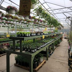 Kaytee's Family Restaurant and Marketplace in Coudersport, PA (3)