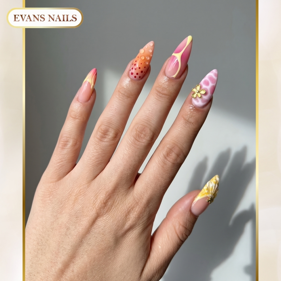 Evans Nails Salon Evansville IN in Evansville, IN (6)