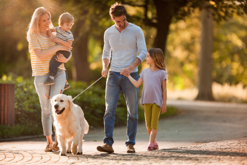 The Hardy Team Real Estate - RE/MAX Marketing Specialists in Spring Hill, FL (3)