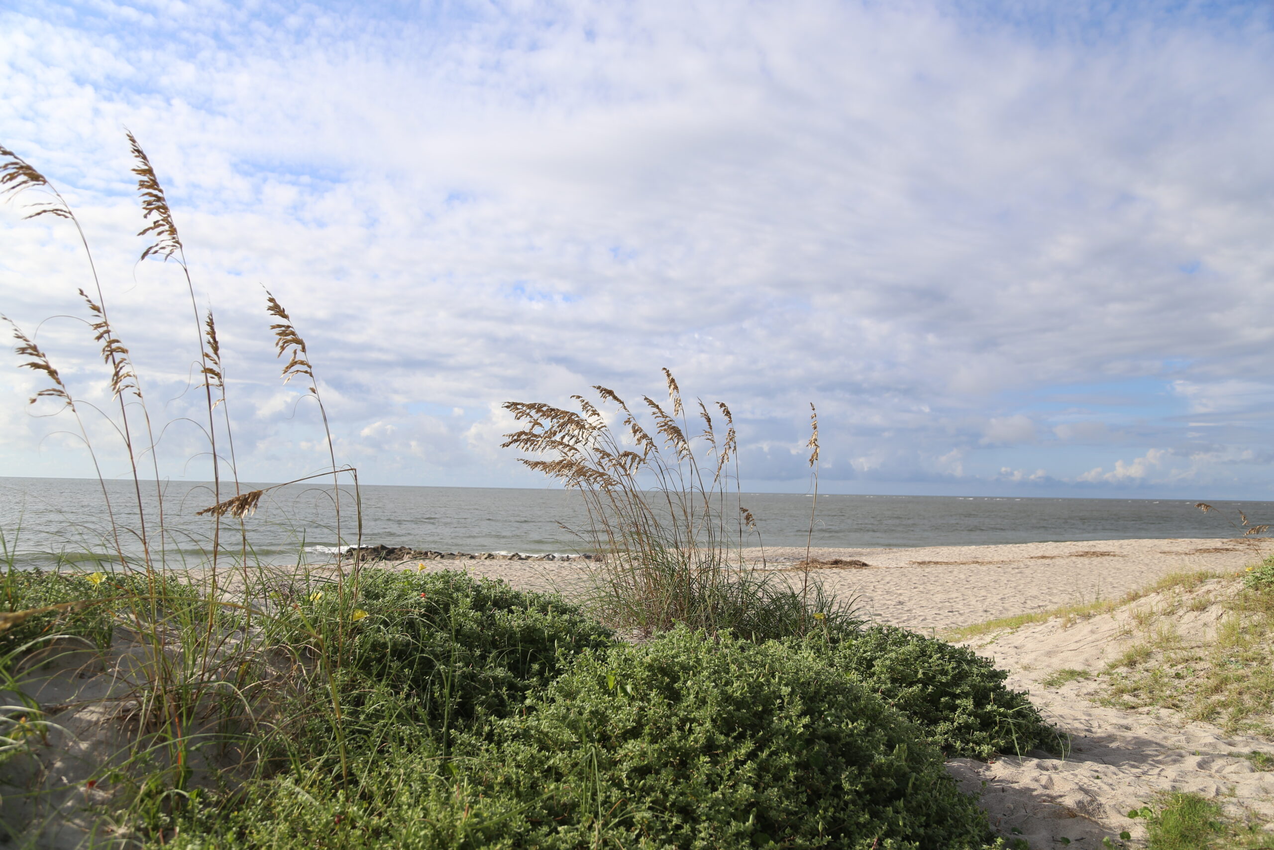 Edisto Sales & Rentals Realty in Edisto Island, SC (2)