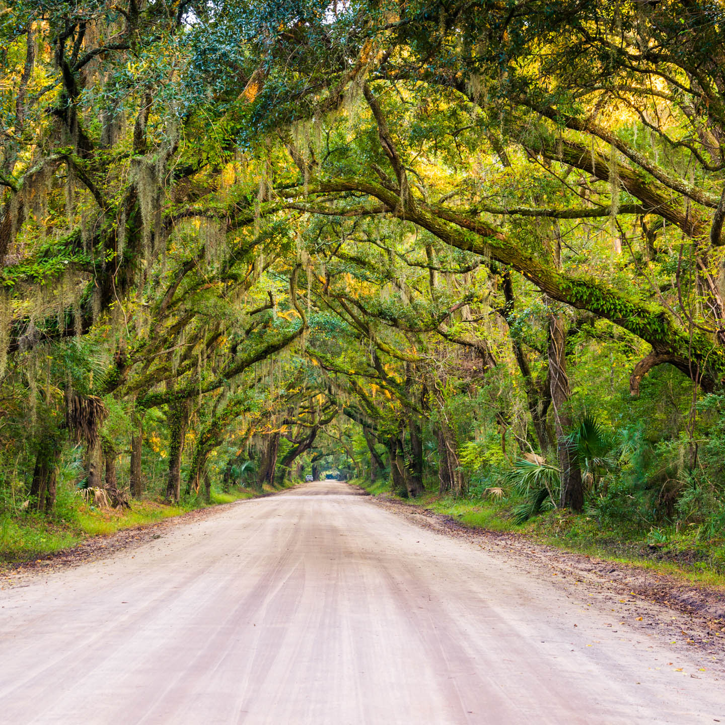 Edisto Sales & Rentals Realty in Edisto Island, SC (5)