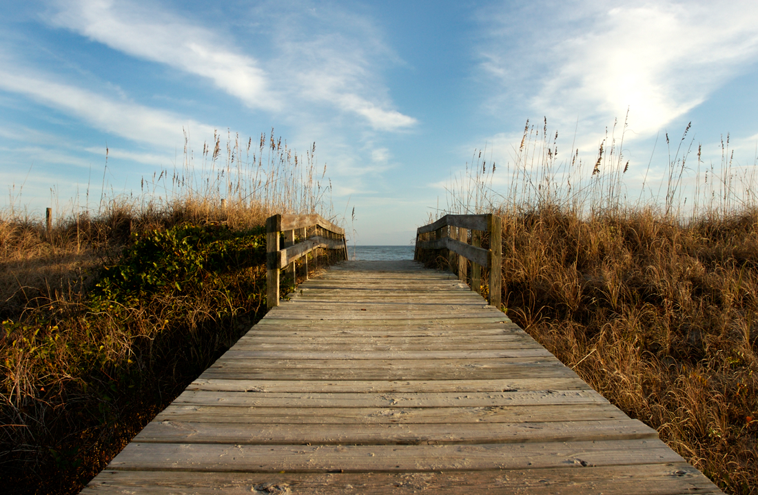 Accel Tax & Business Services LLC in Mt Pleasant, SC