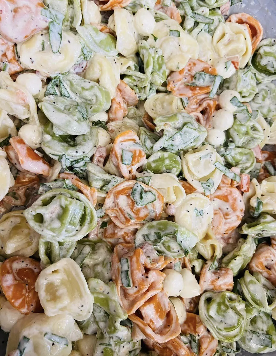 Roe's Cafe & Catering in St. Petersburg, FL (3)