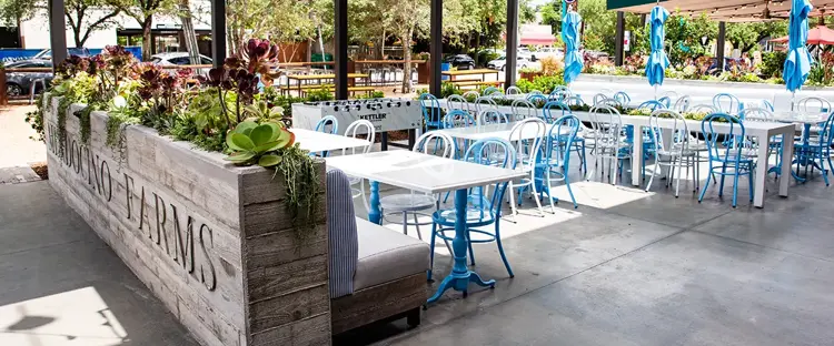 Mendocino Farms in Houston, TX