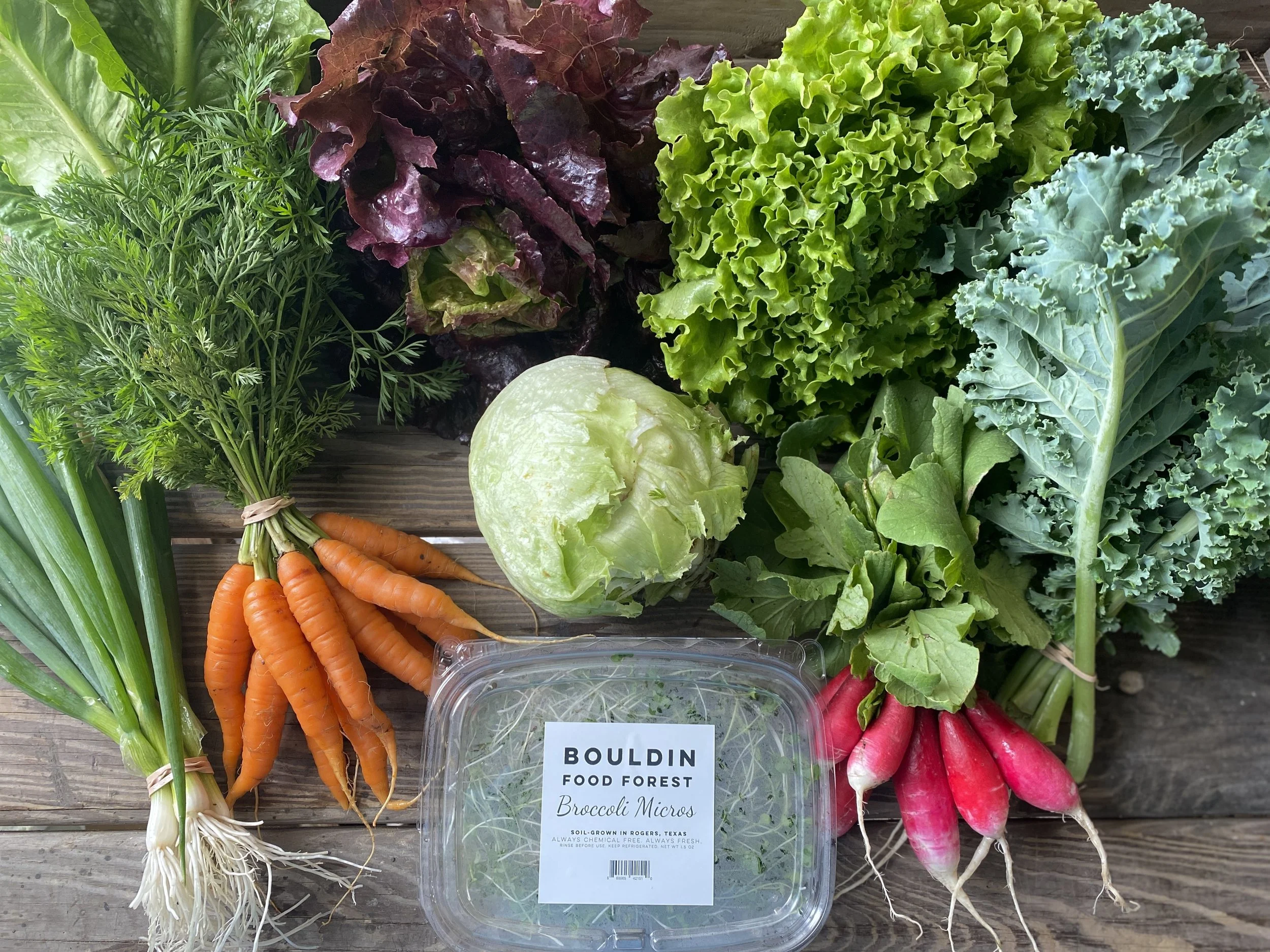 Bouldin Food Forest in Troy, TX