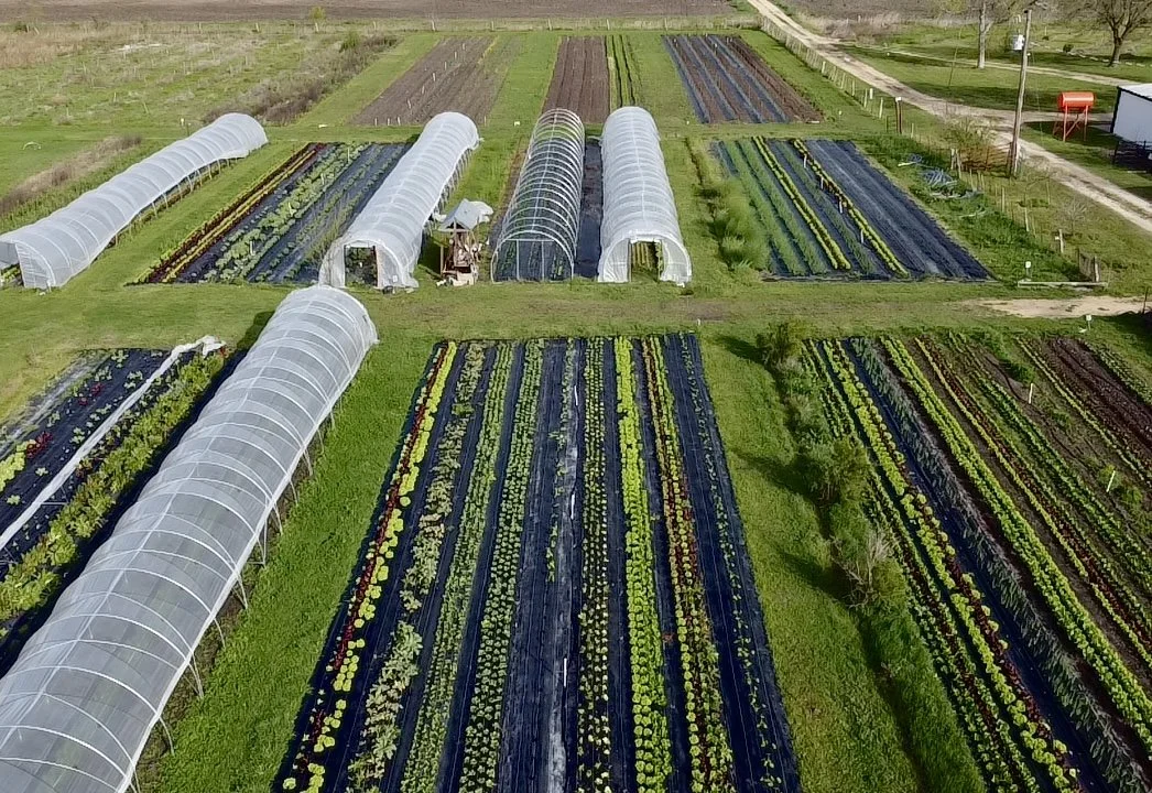 Bouldin Food Forest in Troy, TX (3)
