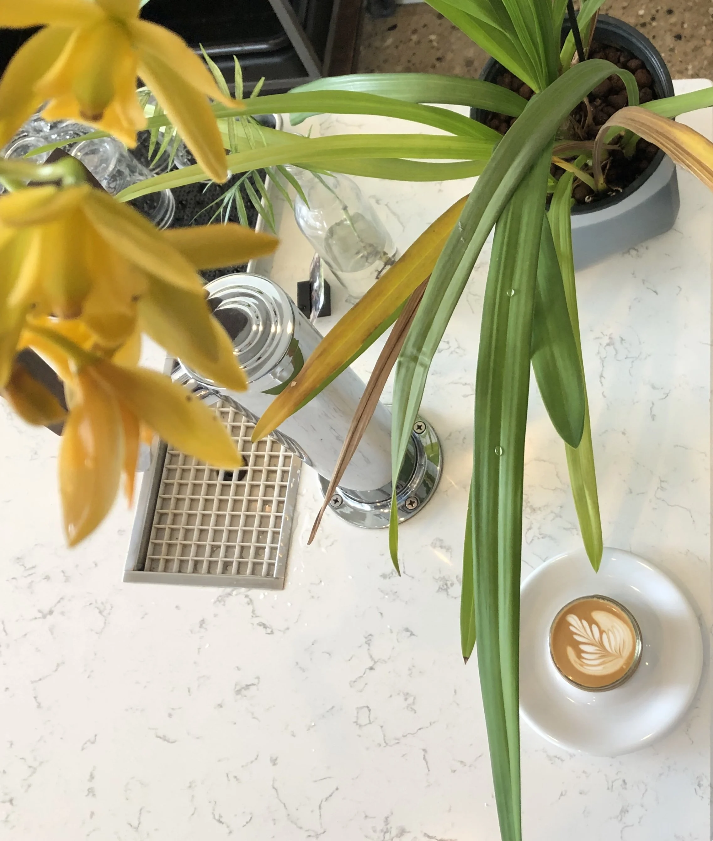 Likewise Coffee - Milwaukee in Milwaukee, WI (4)