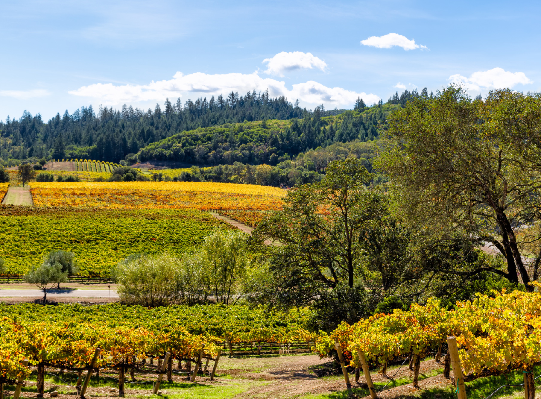 Twin Oaks Real Estate Inc in Benicia, CA