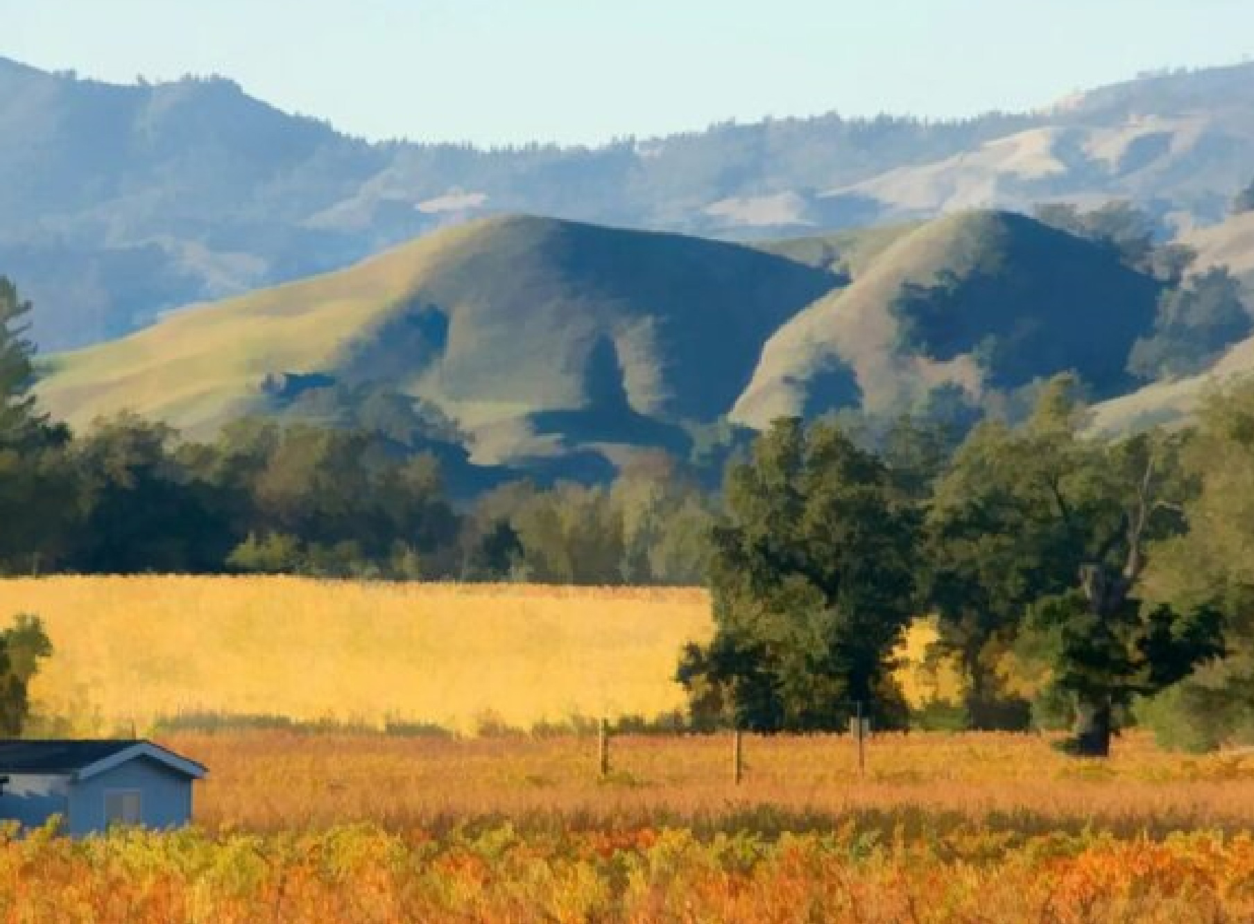 Twin Oaks Real Estate Inc in Benicia, CA (6)