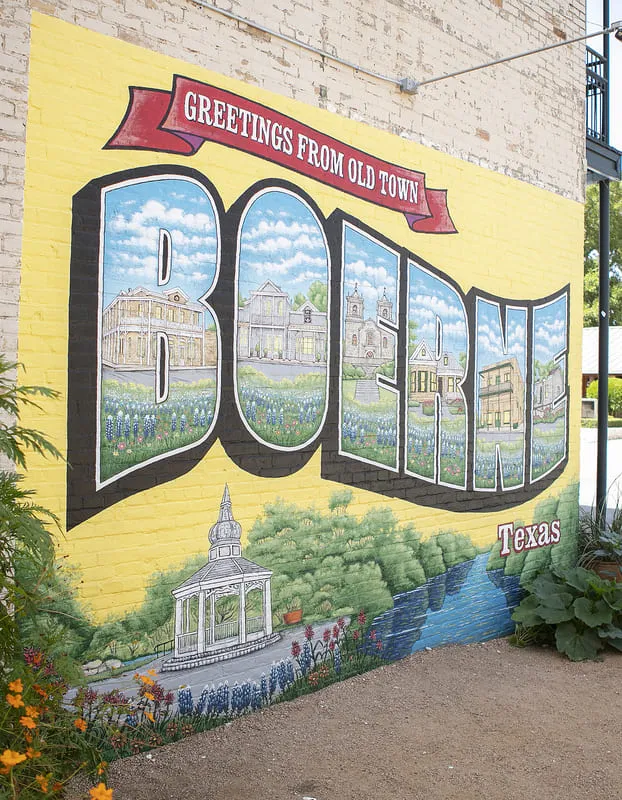 Phyllis Browning Company - Alamo Heights in San Antonio, TX (5)