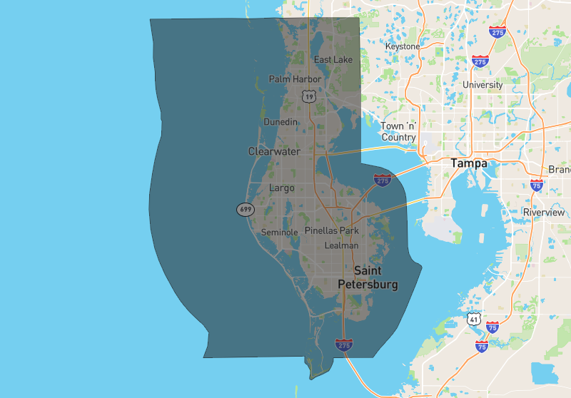Kerryn Ellson Real Estate Agent in Belleair, FL (4)