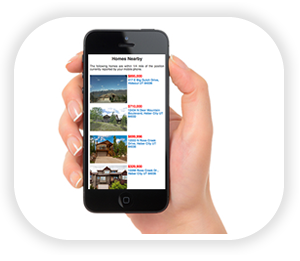 South Beaches Real Estate Professionals in Madeira Beach, FL (3)