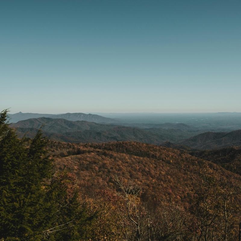 Greenways Real Estate & Auction Inc in Covington, VA (2)