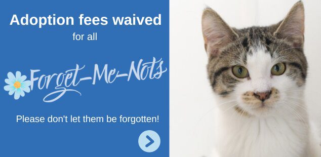 Angel's Wish Pet Adoption and Resource Center in Verona, WI
