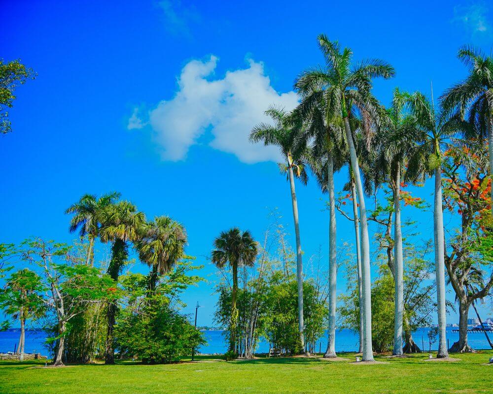 Kathryn Zangrilli : Broker Brothers in Naples, FL (4)